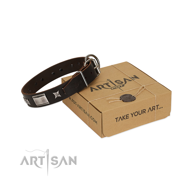 Easy wearing collar of full grain leather for your beautiful doggie