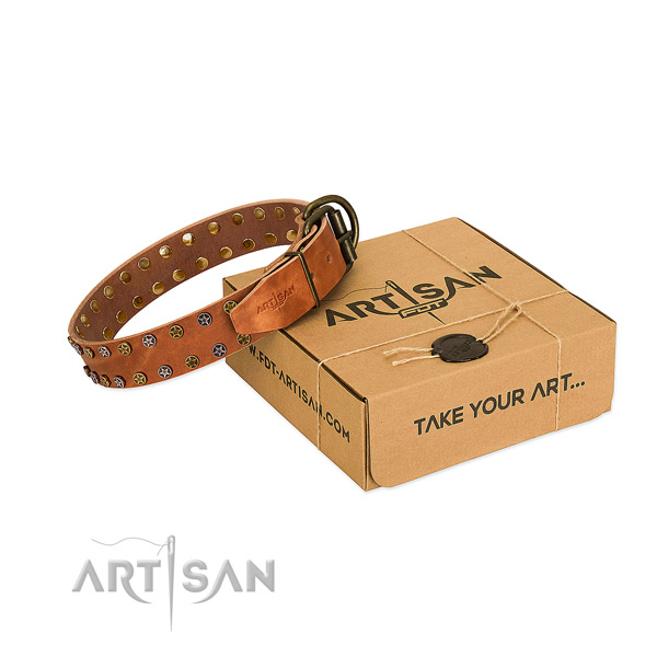 Daily use soft leather dog collar with decorations
