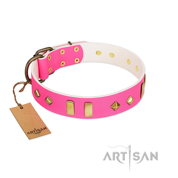 Full grain genuine leather dog collar with rust-proof traditional buckle for everyday walking