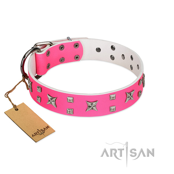 Exceptional full grain natural leather collar for your canine stylish walks