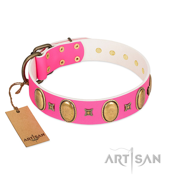 Leather dog collar with impressive embellishments for handy use