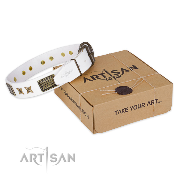 Rust resistant fittings on leather collar for your handsome pet