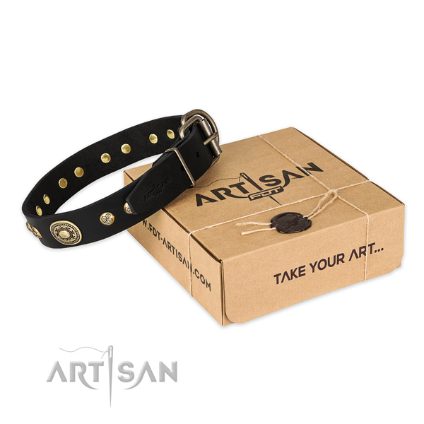 Corrosion resistant D-ring on genuine leather dog collar for basic training