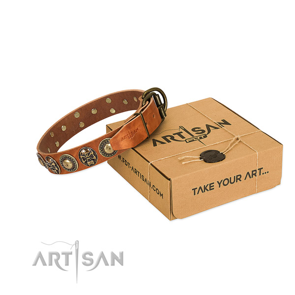 Strong studs on dog collar for everyday use