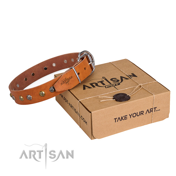Basic training dog collar with Amazing reliable decorations