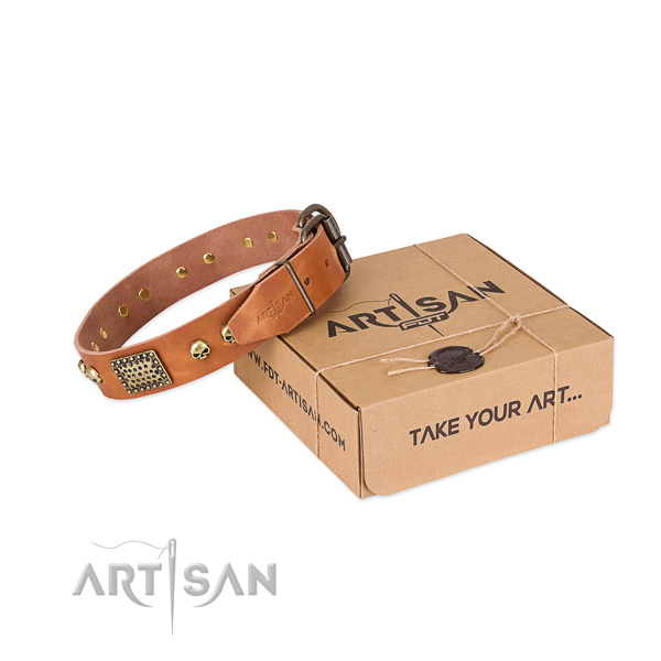 Corrosion resistant embellishments on dog collar for daily walking