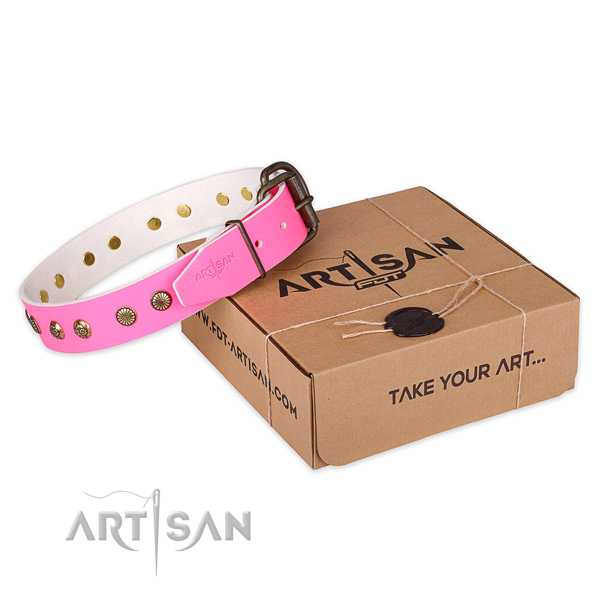 Corrosion resistant D-ring on leather collar for your attractive four-legged friend