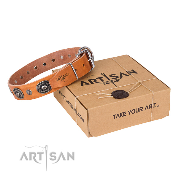 High quality full grain genuine leather dog collar handmade for stylish walking