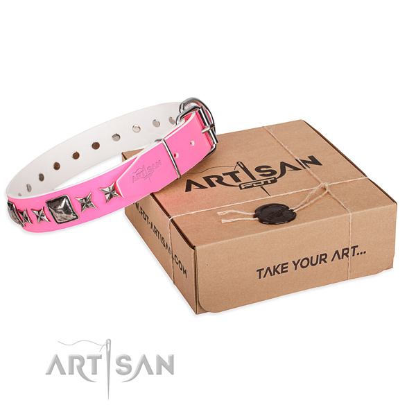 Comfy wearing full grain natural leather dog collar with studs