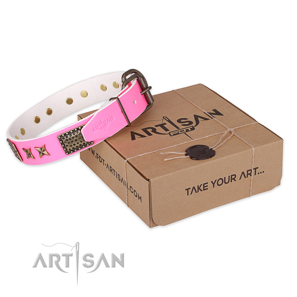 Corrosion resistant traditional buckle on leather collar for your beautiful dog