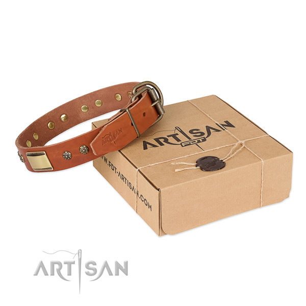 Stylish leather collar for your attractive doggie