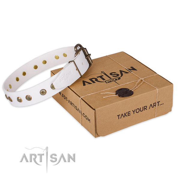 Corrosion proof traditional buckle on genuine leather collar for your lovely doggie
