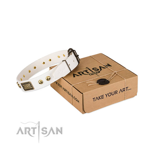 Reliable studs on dog collar for daily walking