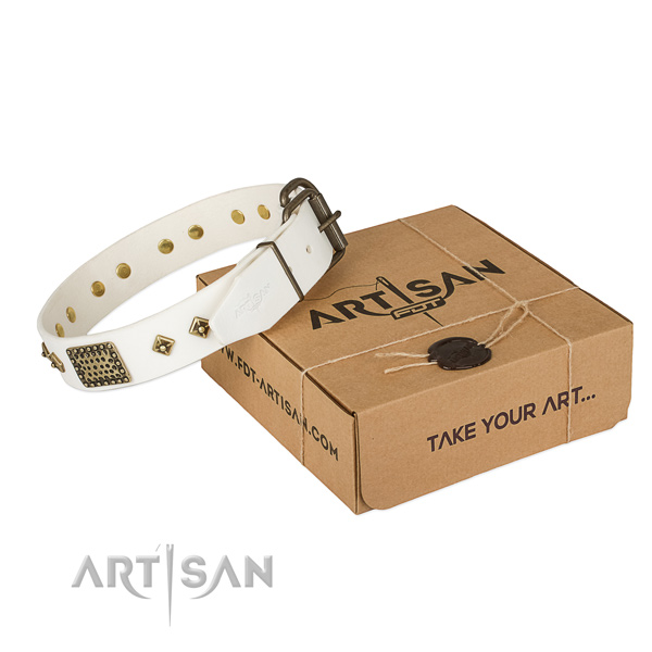 Designer genuine leather collar for your beautiful four-legged friend