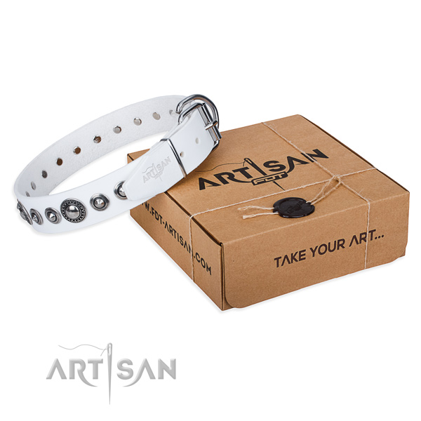 Full grain leather dog collar made of quality material with durable traditional buckle