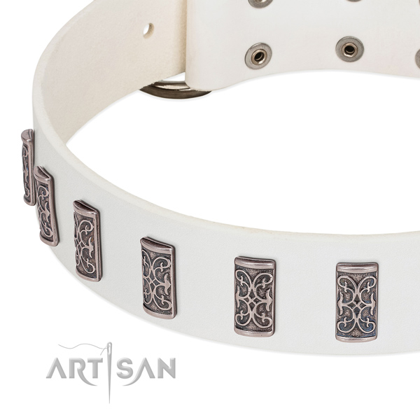 Impressive genuine leather collar for your dog walking in style