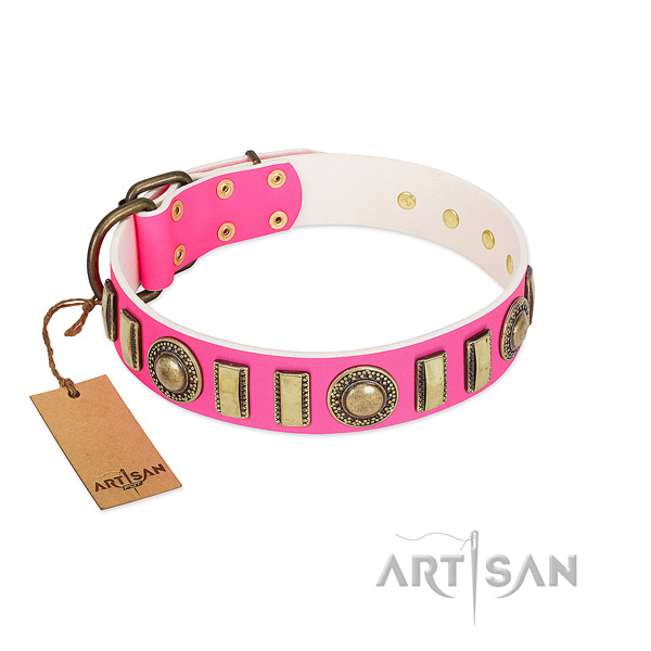 Stunning full grain leather dog collar with reliable hardware