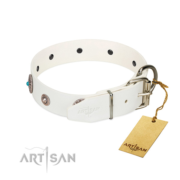 Stylish studded natural leather dog collar