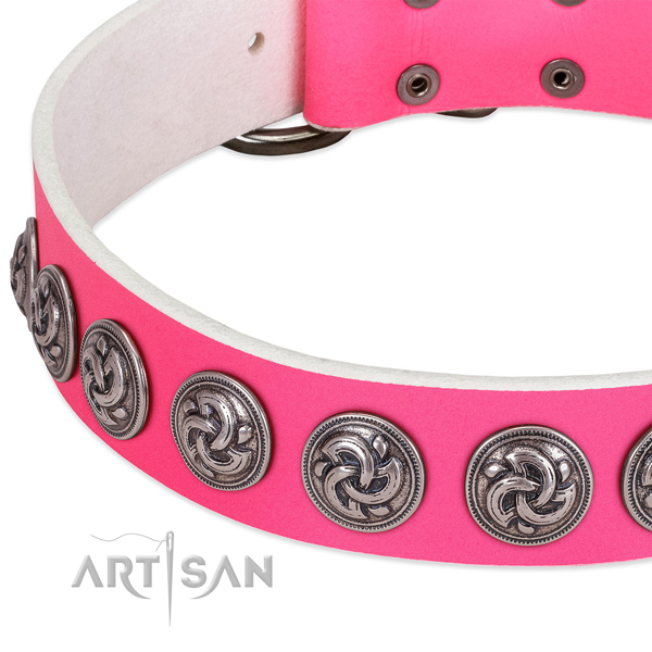 Amazing full grain natural leather collar for your canine everyday walking