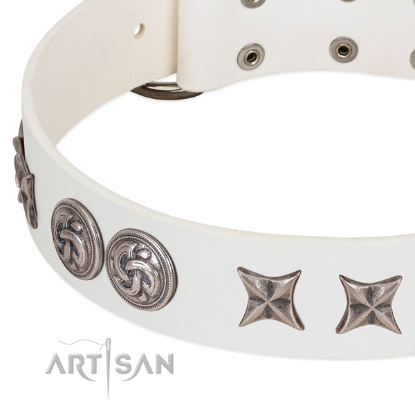 Leather collar with unique studs for your canine