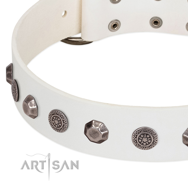 Extraordinary full grain genuine leather collar for your doggie daily walking