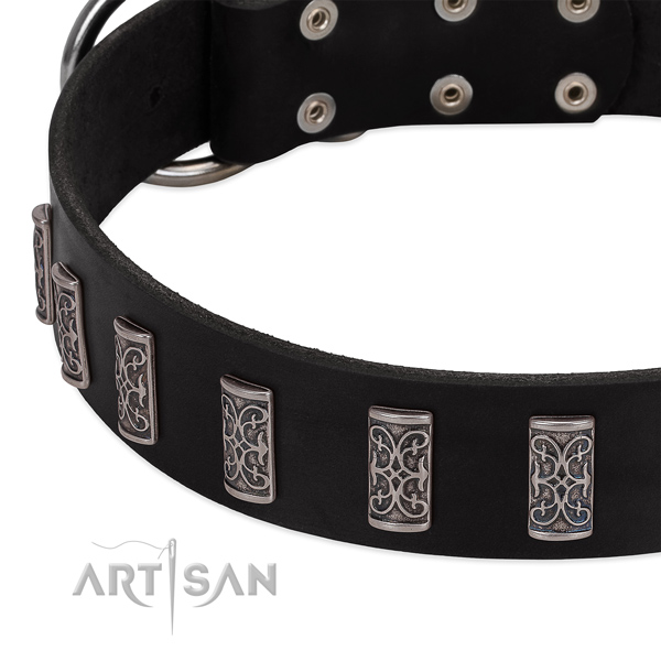 Unusual genuine leather collar for your doggie everyday walking