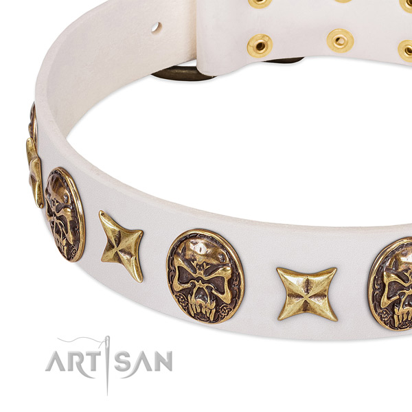 Awesome dog collar handcrafted for your lovely doggie