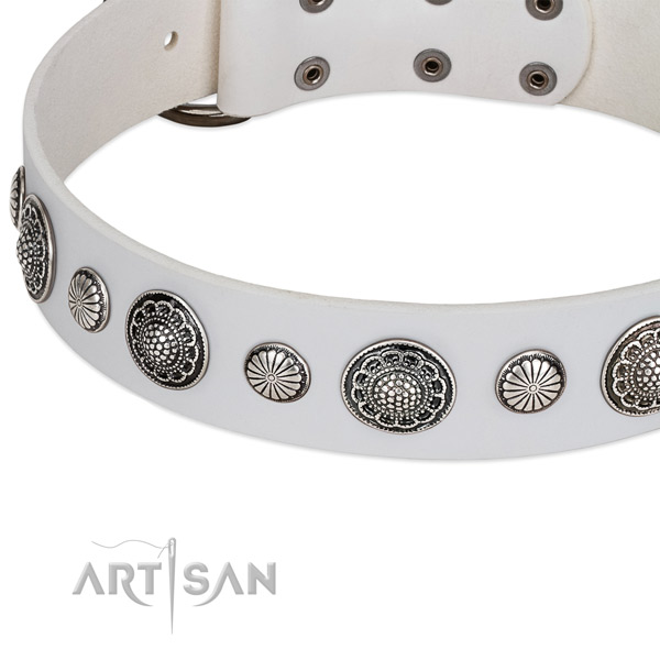 Leather collar with durable fittings for your attractive four-legged friend