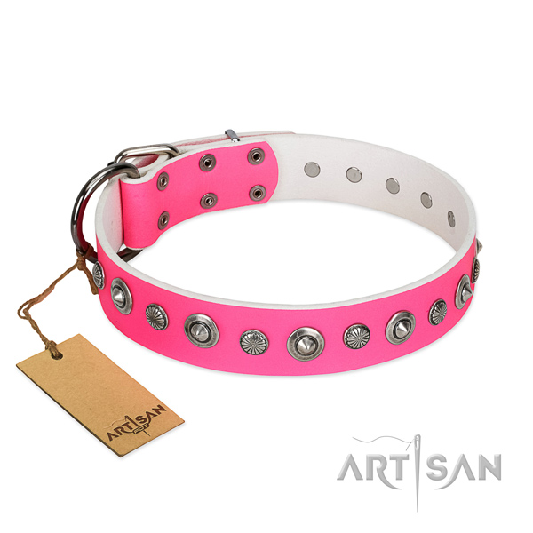 Reliable genuine leather dog collar with stylish design embellishments