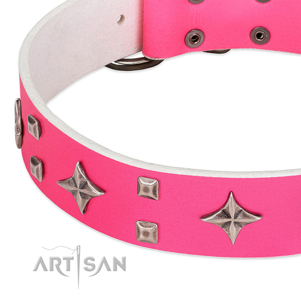 Stylish walking quality full grain leather dog collar with studs