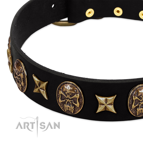 Reliable buckle on genuine leather dog collar for your four-legged friend