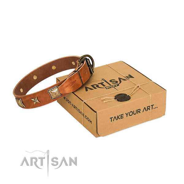 Fine quality full grain leather collar for your lovely pet
