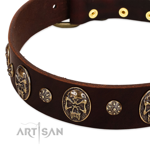 Strong fittings on leather dog collar for your pet