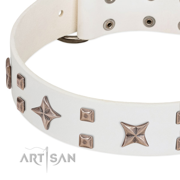 Rust resistant D-ring on genuine leather collar for daily walking your canine