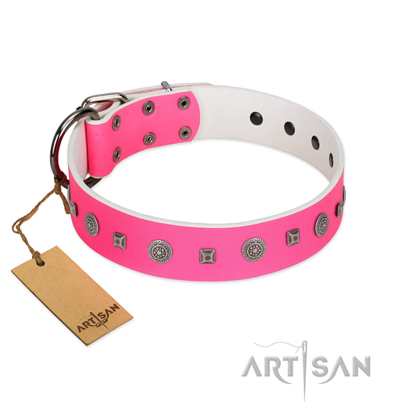 Everyday walking quality genuine leather dog collar with decorations