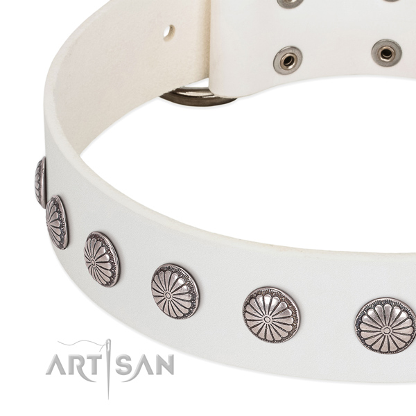 Top notch leather dog collar with adornments for daily walking