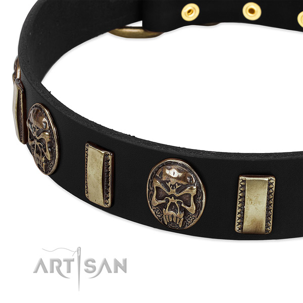 Rust-proof studs on leather dog collar for your four-legged friend