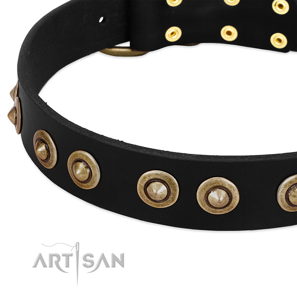 Rust resistant embellishments on full grain leather dog collar for your dog