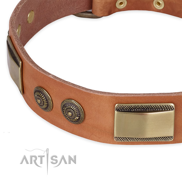 Reliable adornments on full grain leather dog collar for your doggie