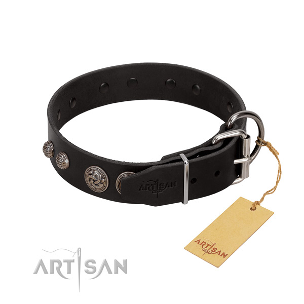 Top quality natural leather dog collar with corrosion resistant fittings