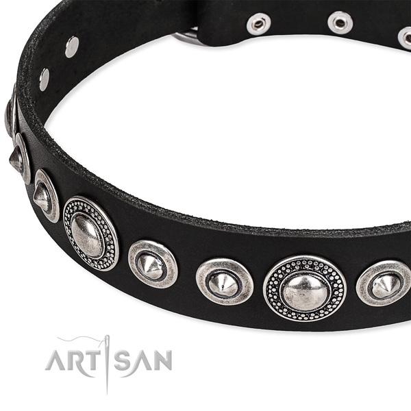 Walking studded dog collar of durable full grain genuine leather