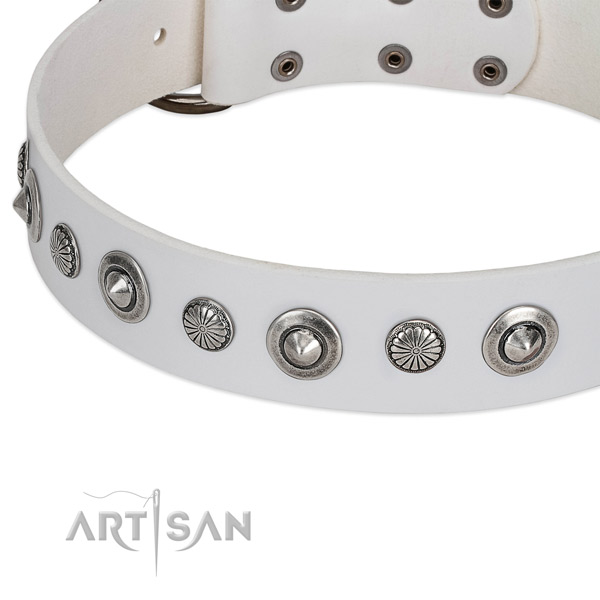 Genuine leather collar with strong D-ring for your beautiful four-legged friend