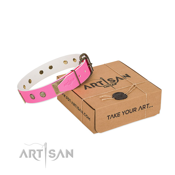 Durable buckle on dog collar for everyday walking