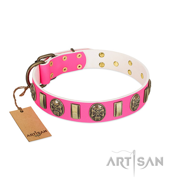 Rust-proof studs on full grain genuine leather dog collar for your pet