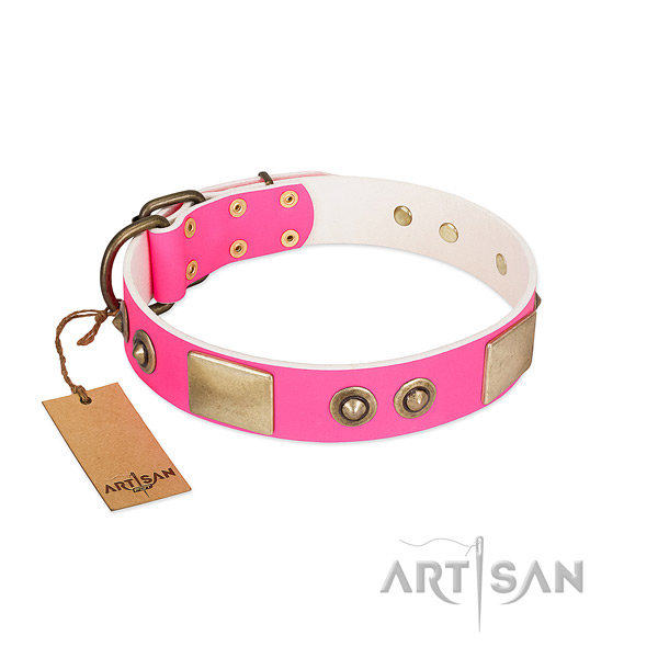 Corrosion resistant studs on full grain leather dog collar for your four-legged friend