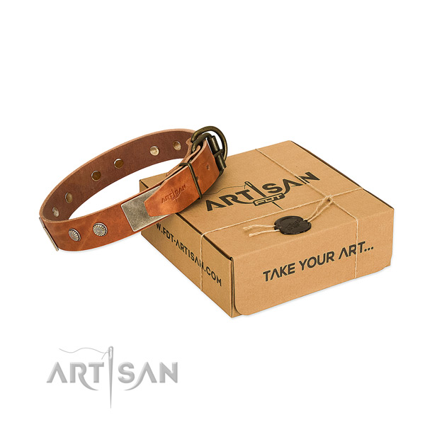 Corrosion resistant traditional buckle on dog collar for handy use