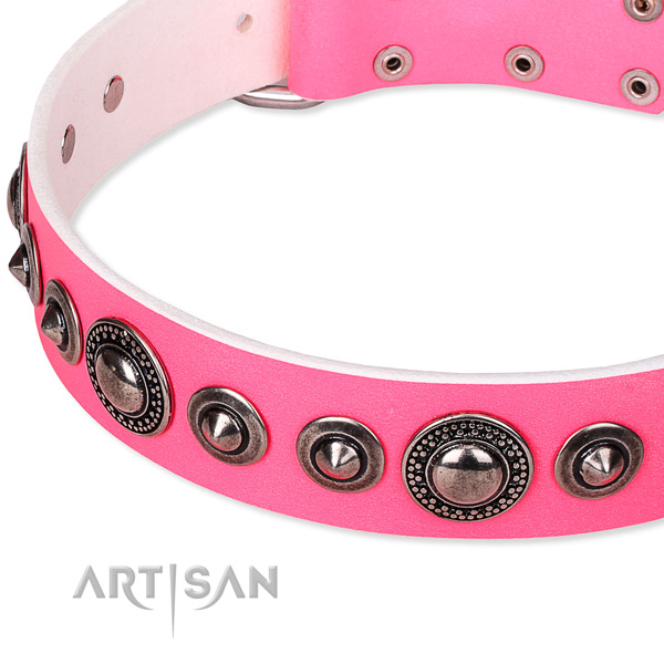 Daily use adorned dog collar of high quality full grain leather