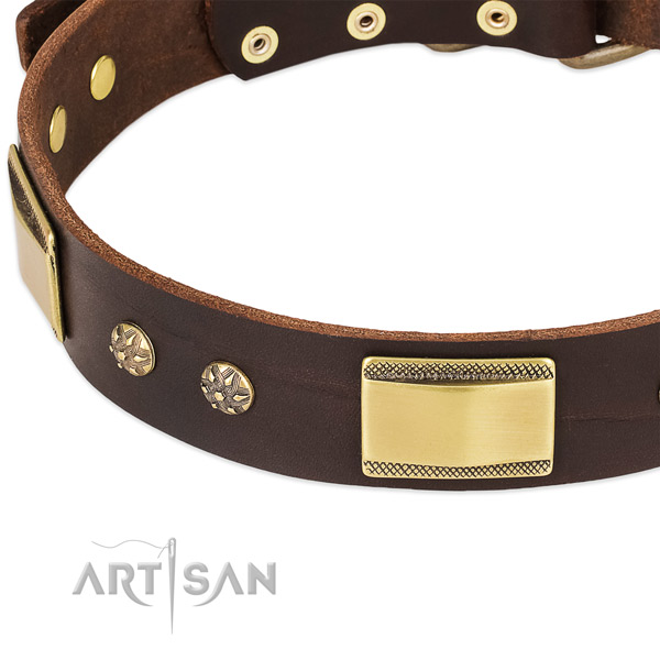Reliable decorations on full grain leather dog collar for your pet