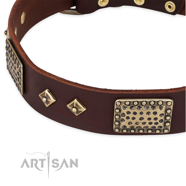 Durable traditional buckle on full grain genuine leather dog collar for your dog