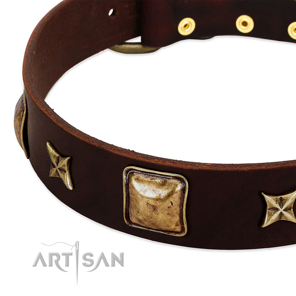 Reliable adornments on full grain natural leather dog collar for your canine
